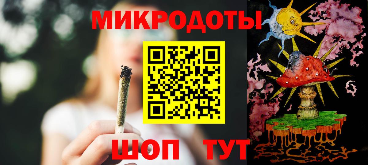 Галлюциногенные грибы Psilocybe Протвино